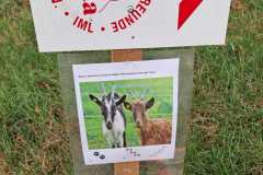 IMG-20241006-WA0007