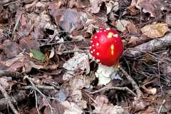 IMG-20241009-WA0010