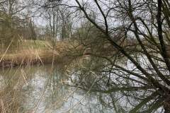 FB_IMG_1706970435550