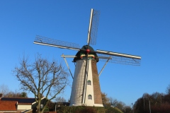 IMG_9800