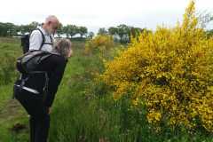 IMG-20240504-WA0012