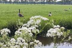 IMG-20240504-WA0018