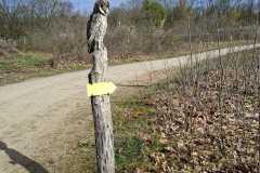IMG-20260404-WA0020