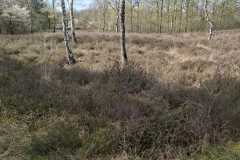 IMG-20260404-WA0022