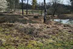 IMG-20260404-WA0023
