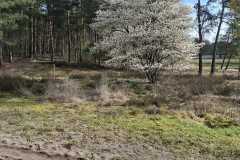 IMG-20260404-WA0024