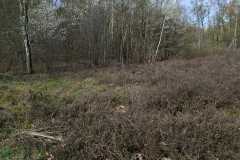 IMG-20260404-WA0025