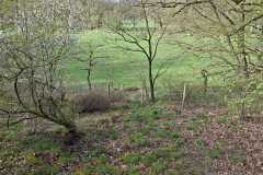 IMG-20260404-WA0028