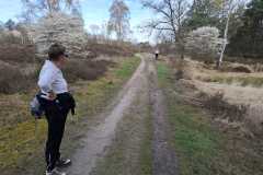 IMG-20260404-WA0035