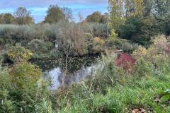 IMG-20251018-WA0008