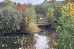 IMG-20251018-WA0011