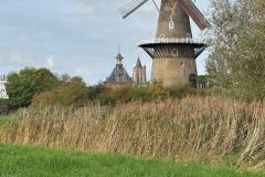 IMG-20251018-WA0012