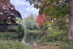 IMG-20251018-WA0016
