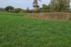 IMG-20251018-WA0035