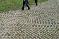 IMG-20251018-WA0037