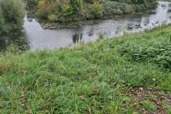 IMG-20251018-WA0059