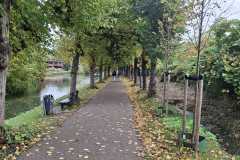 IMG-20251018-WA0091