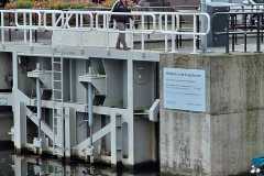 IMG-20251019-WA0002
