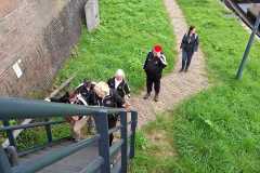 IMG-20251019-WA0003