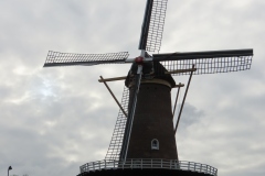 IMG_0425