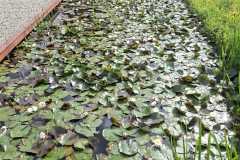 IMG-20260530-WA0009