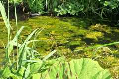 IMG-20260530-WA0021