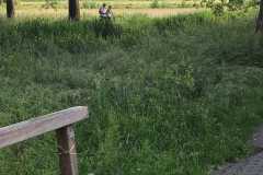 IMG-20260530-WA0023