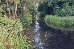 IMG-20260530-WA0024