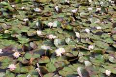 IMG-20260530-WA0026