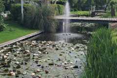 IMG-20260530-WA0028