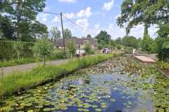 IMG-20260531-WA0008
