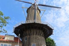 IMG_0849