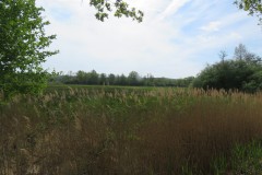 IMG_8904