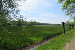 IMG_8908