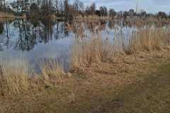 IMG-20260131-WA0026
