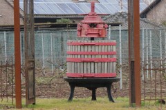 IMG_0063