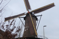 IMG_0533