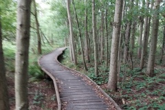 20260919_110215