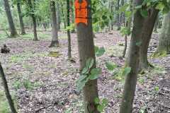 IMG-20260919-WA0009