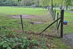 IMG-20260919-WA0016