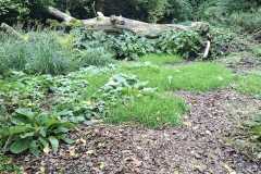 IMG-20260919-WA0017