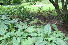 IMG-20260919-WA0022