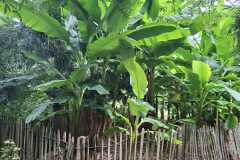 IMG-20260919-WA0028