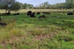 IMG-20260919-WA0031