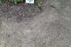 IMG-20260919-WA0032