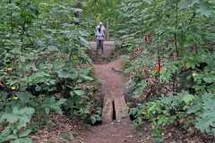 IMG-20260919-WA0050