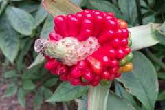 IMG-20260919-WA0057