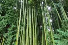 IMG-20260919-WA0058