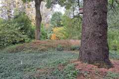 IMG-20260919-WA0061