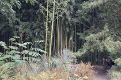 IMG-20260919-WA0063